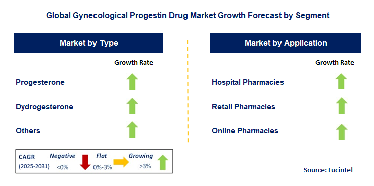 Gynecological Progestin Drug Market by Segment