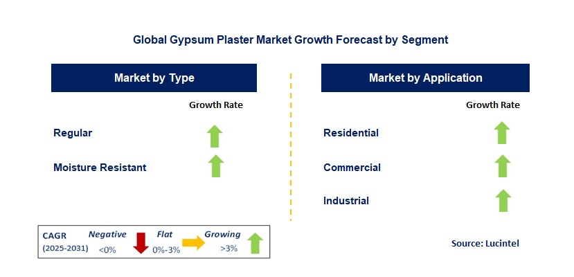 Gypsum Plaster Market by Segment