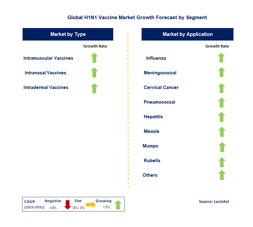 H1N1 Vaccine Market by Segment