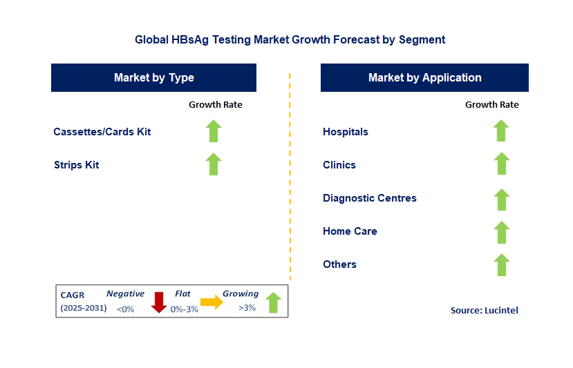 HbsAG Testing Market by Segment