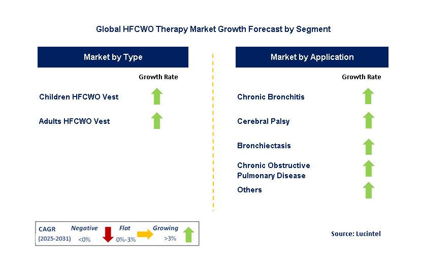 HFCWO Therapy Market by Segment