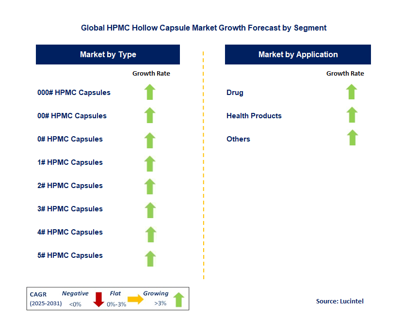 HPMC Hollow Capsule Market by Segment