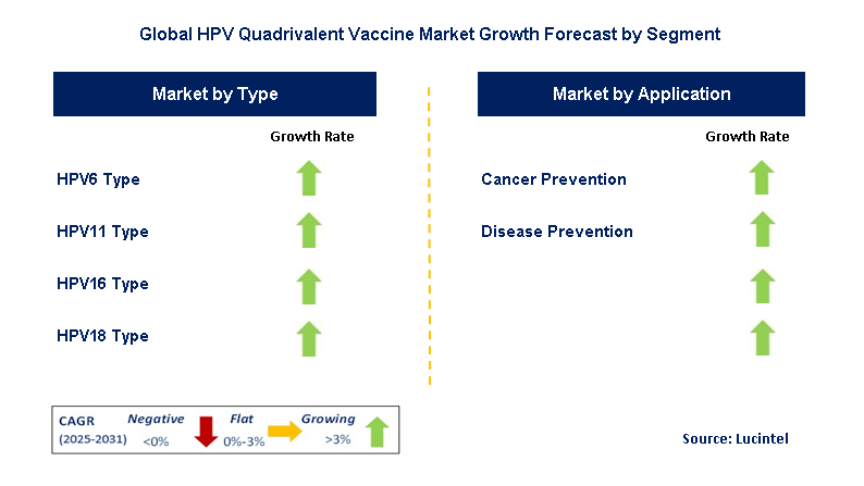 HPV Quadrivalent Vaccine Market by Segment