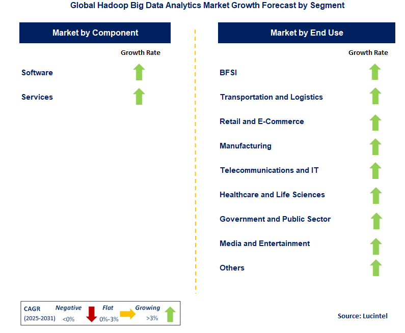 Hadoop Big Data Analytics Market by Segment