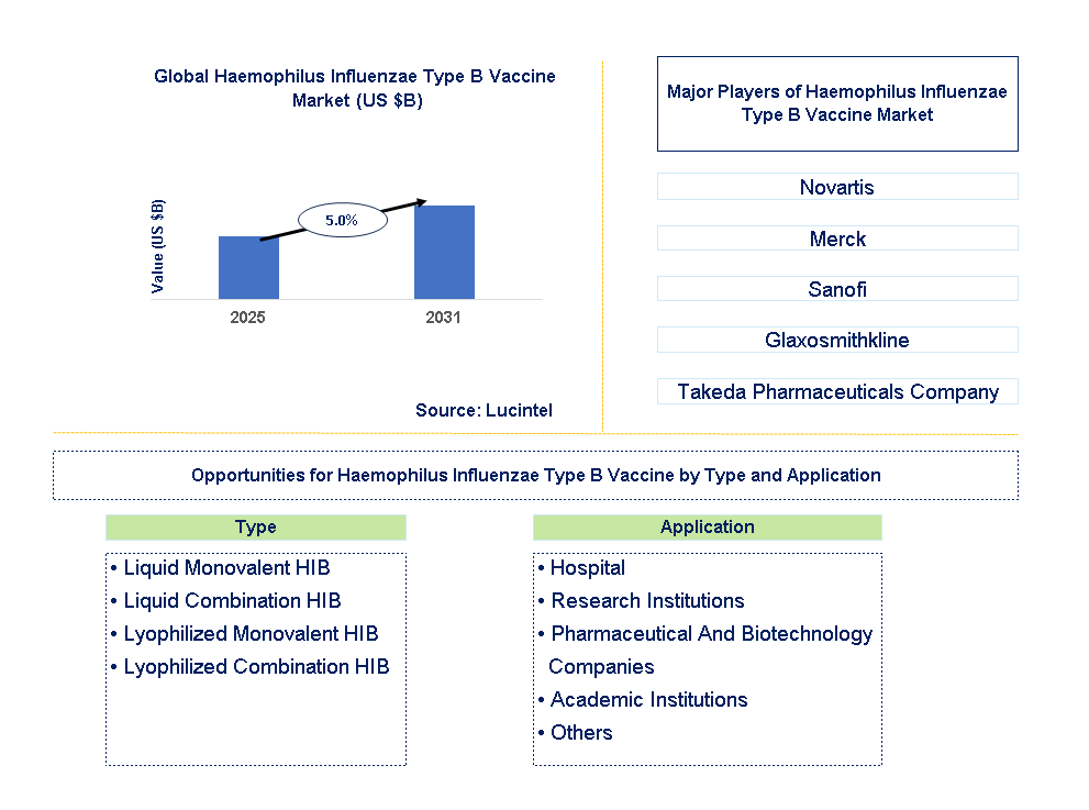Haemophilus Influenzae Type B Vaccine Market Trends and Forecast