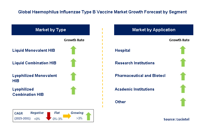 Haemophilus Influenzae Type B Vaccine Market by Segment