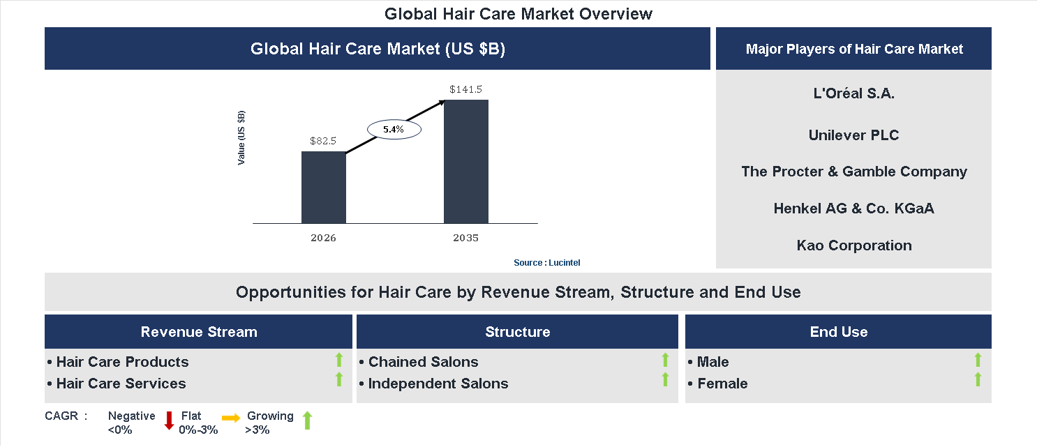 Hair Care Market Trends and Forecast