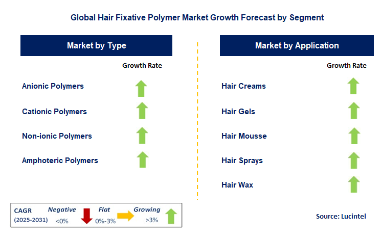 Hair Fixative Polymer Market by Segment