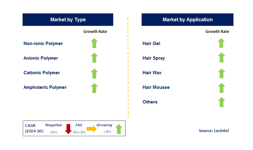 Hair Fixative Polymer by Segment