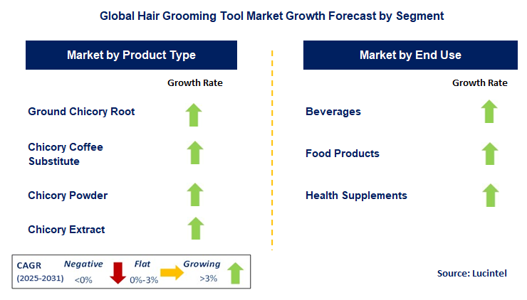 Hair Grooming Tool Market by Segment