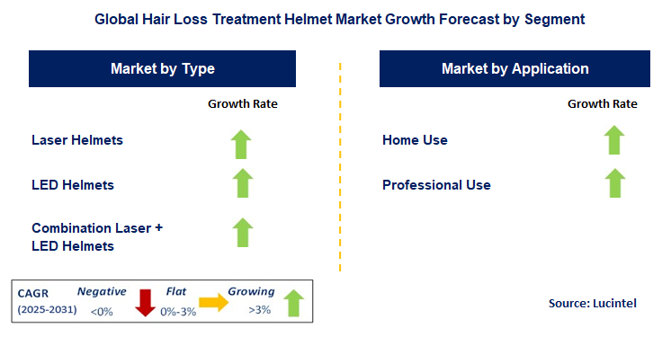Hair Loss Treatment Helmet Market by Segment