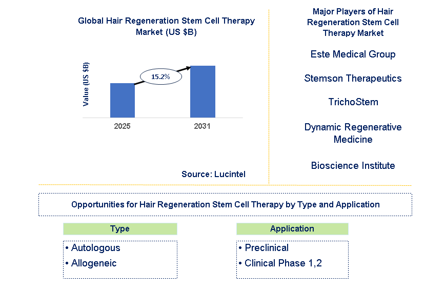Hair Regeneration Stem Cell Therapy Market Trends and Forecast