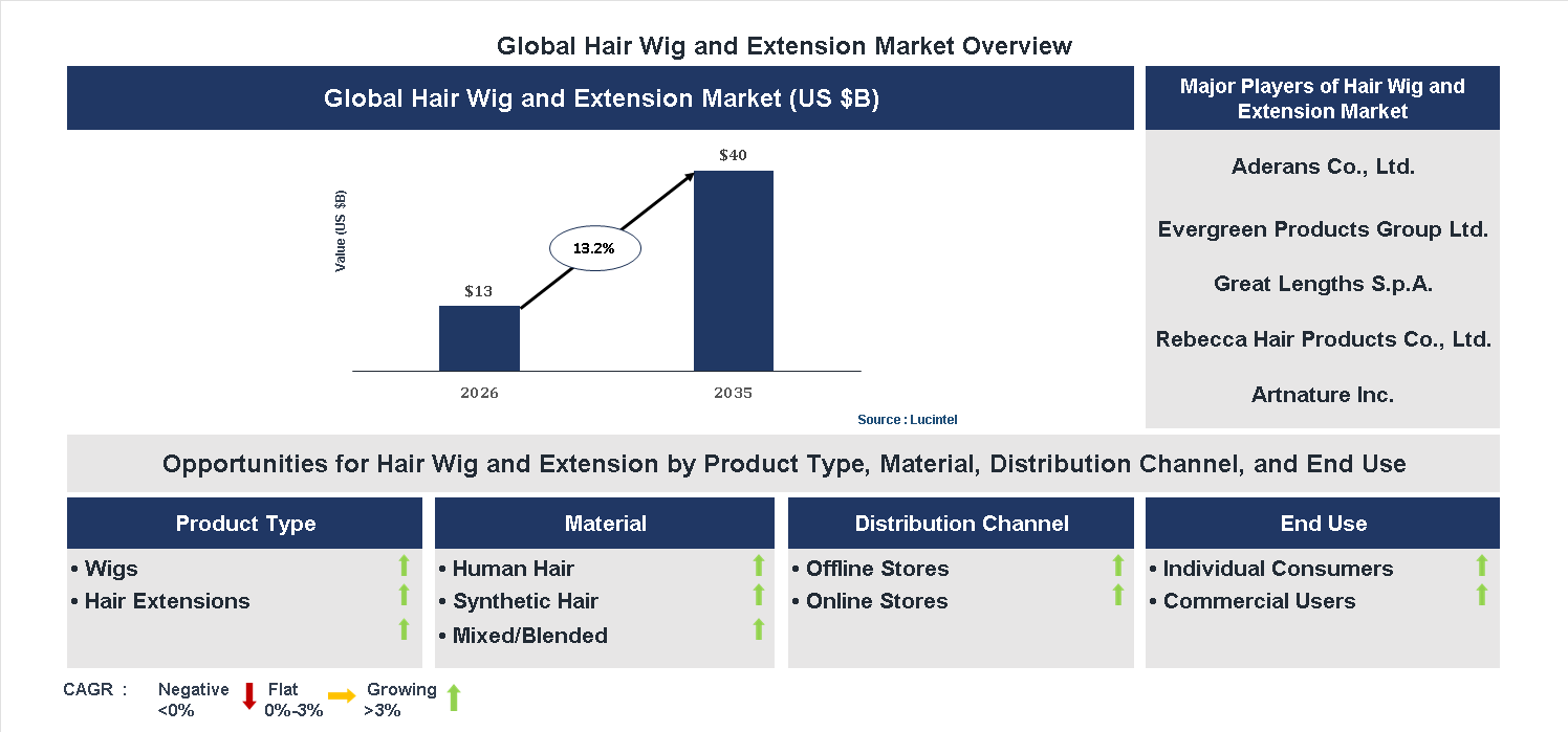 Hair Wig and Extension Market Trends and Forecast