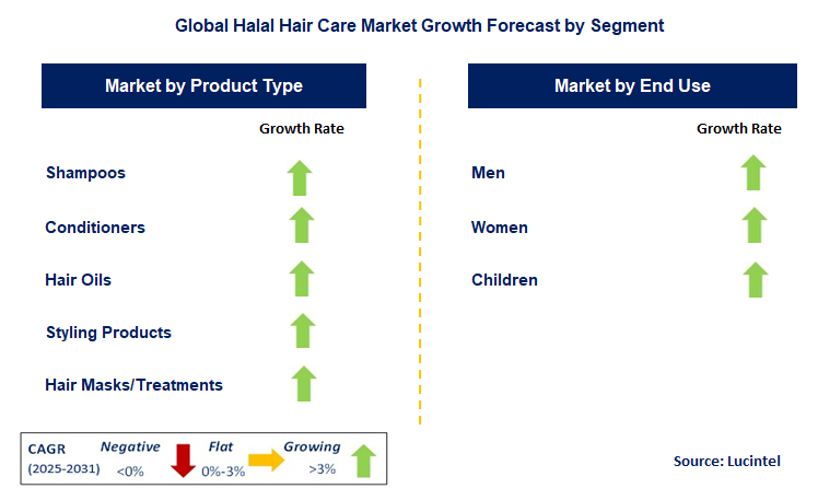 Halal Hair Care Market by Segment