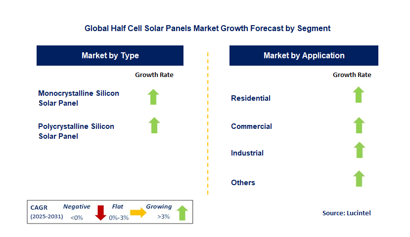 Half Cell Solar Panels Market by Segment