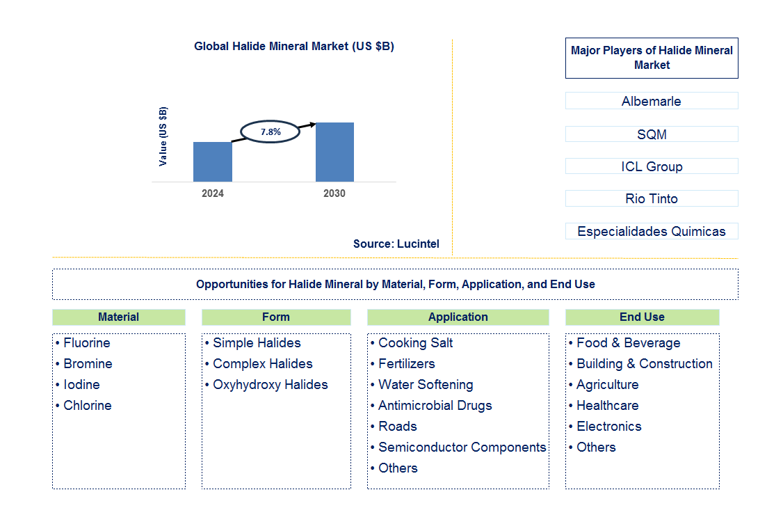 Halide Mineral Trends and Forecast