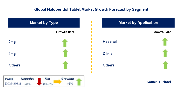 Haloperidol Tablet Market by Segment