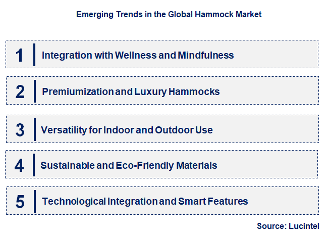Emerging Trends in the Hammock Market