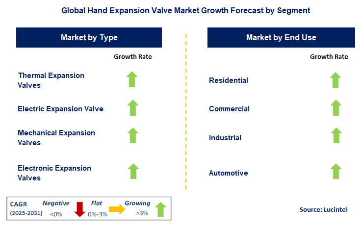 Hand Expansion Valve Market by Segment