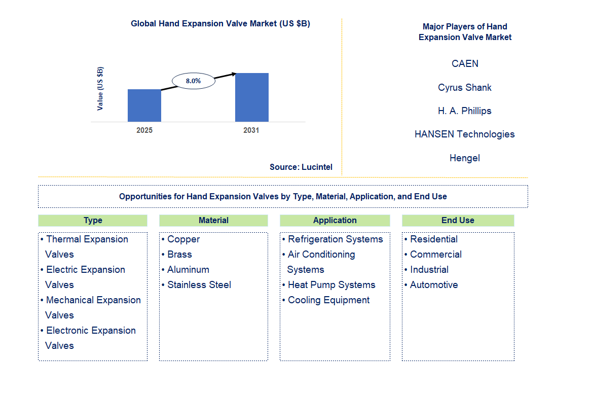 Hand Expansion Valve Market Trends and Forecast