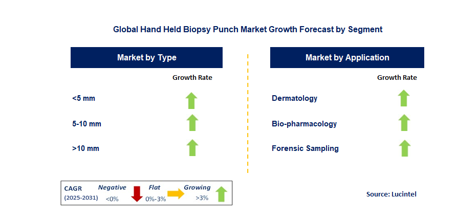 Hand Held Biopsy Punch Market by Segment