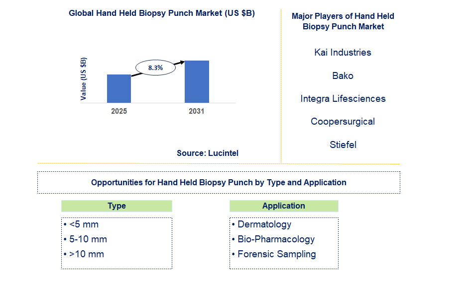 Hand Held Biopsy Punch Market Trends and Forecast