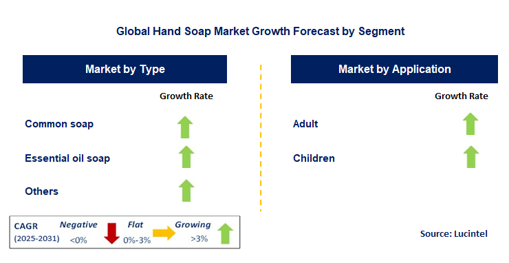Hand Soap Market by Segment