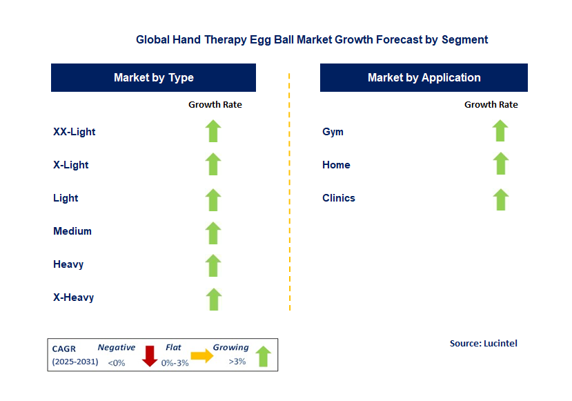 Hand Therapy Egg Ball Market by Segment