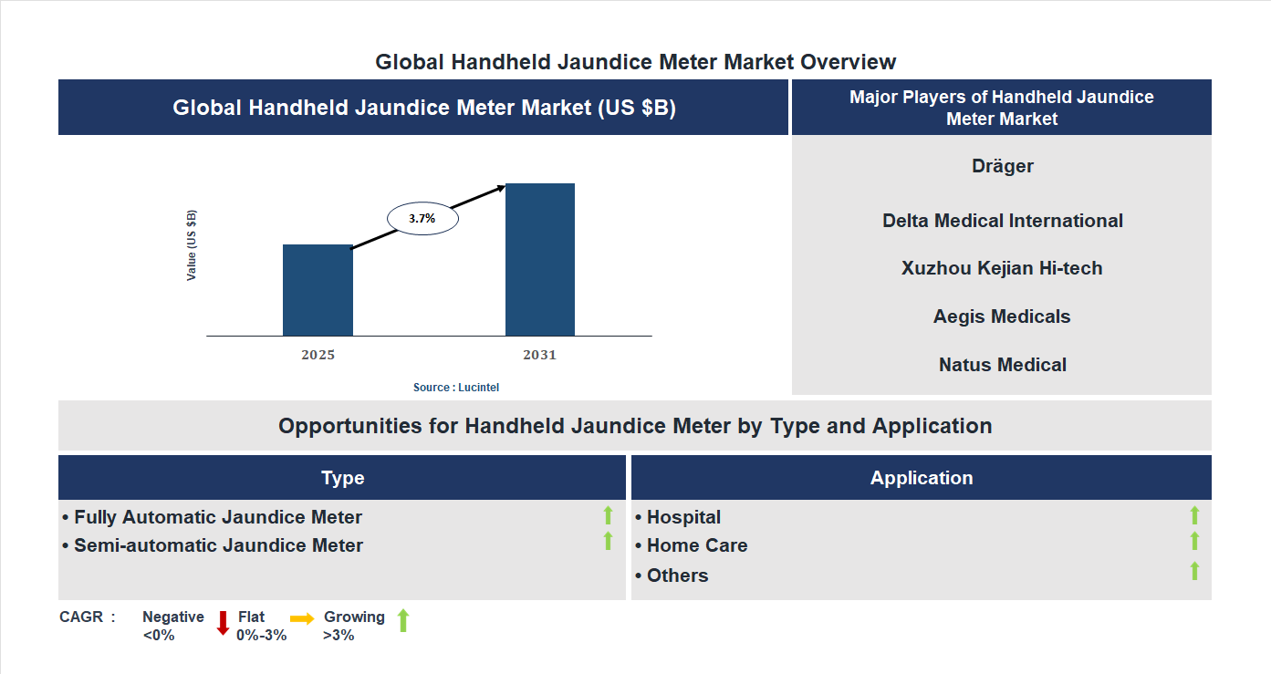 Handheld Jaundice Meter Market Trends and Forecast