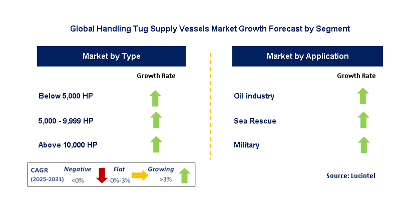Handling Tug Supply Vessels Market by Segment