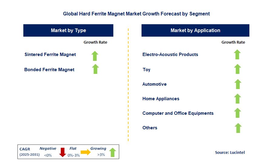Hard Ferrite Magnet Market by Segment