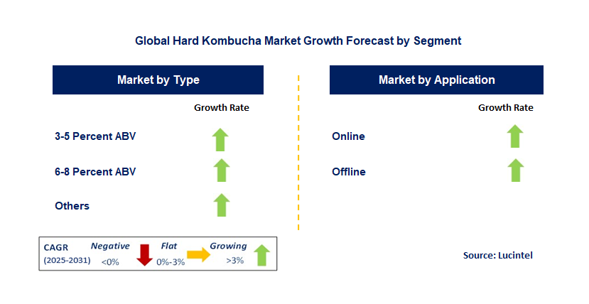 Hard Kombucha Market by Segment