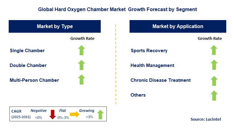 Hard Oxygen Chamber Market by Segment