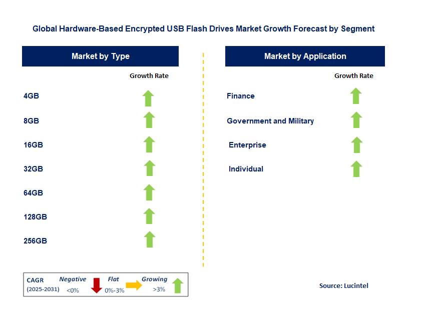 Hardware-Based Encrypted USB Flash Drives Market by Segment