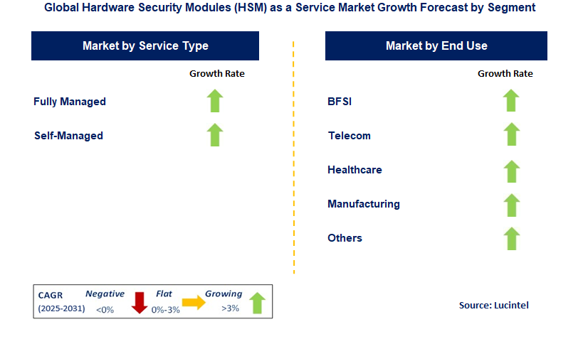 Hardware Security Modules (HSM) as a Service Market by Segment