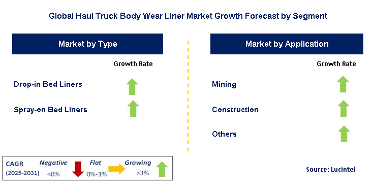 Haul Truck Body Wear Liner Market by Segment