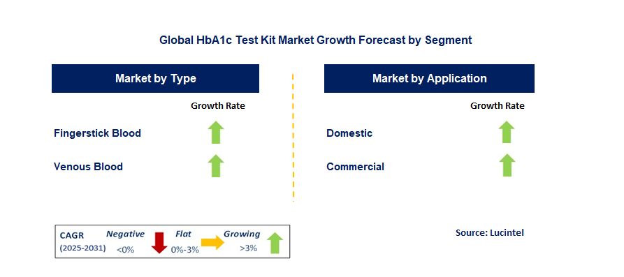 HbA1c Test Kit Market by Segment