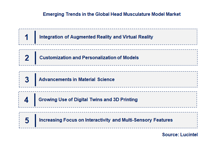 Emerging Trends in the Head Musculature Model Market