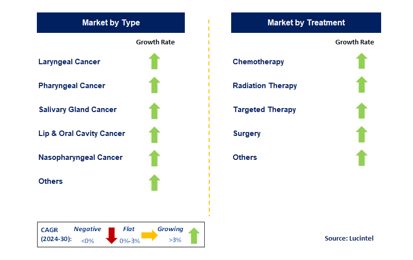 Head and Neck Cancer Diagnostic by Segment