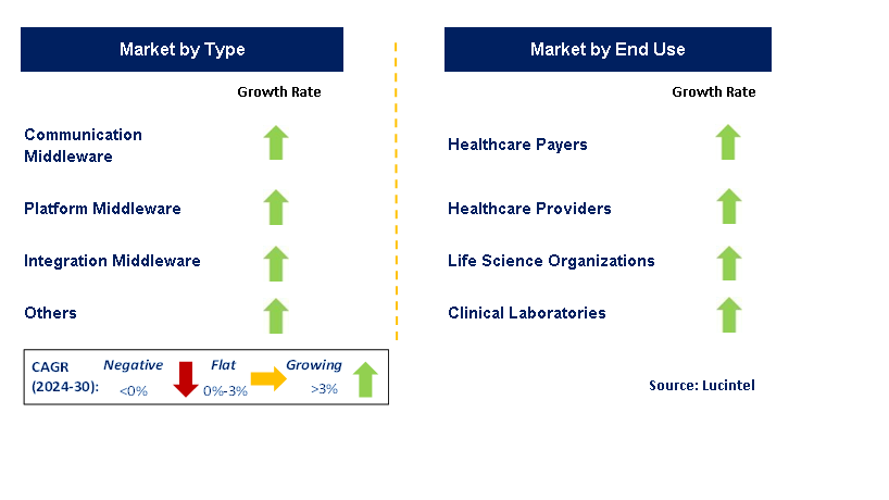 Healthcare Middleware by Segment