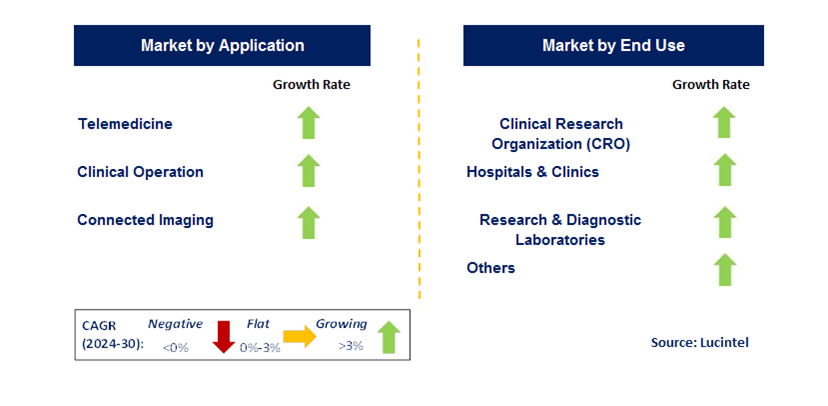 Healthcare Satellite Connectivity by Segment