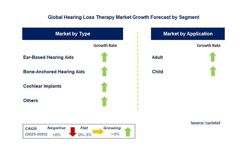 Hearing Loss Therapy Market by Segment