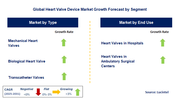 Heart Valve Device Market by Segment