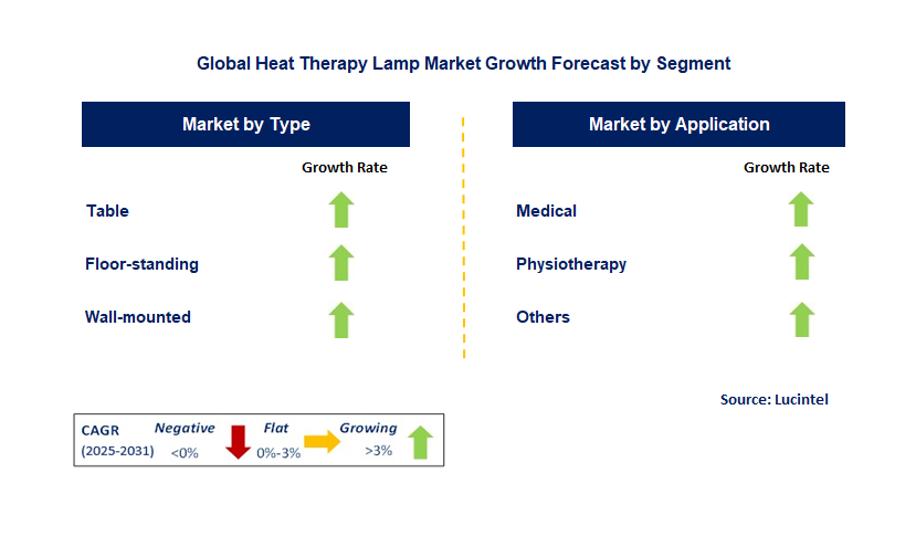 Heat Therapy Lamp Market by Segment
