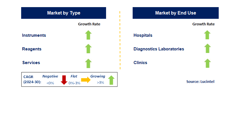 Helicobacter Pylori Diagnostic by Segment