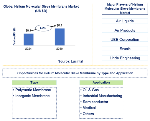 Helium Molecular Sieve Membrane Market Trends and Forecast
