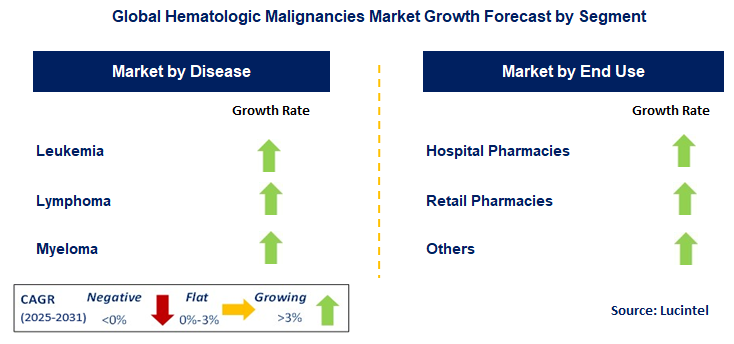 Hematologic Malignancies Market by Segment