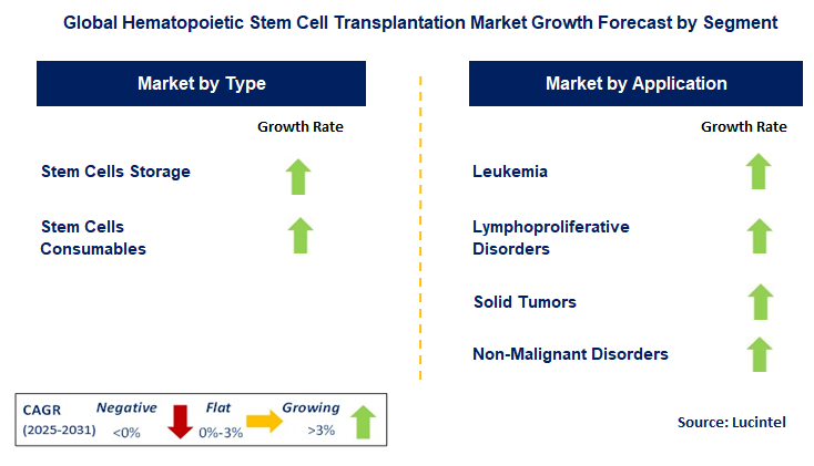 Hematopoietic Stem Cell Transplantation Market by Segment