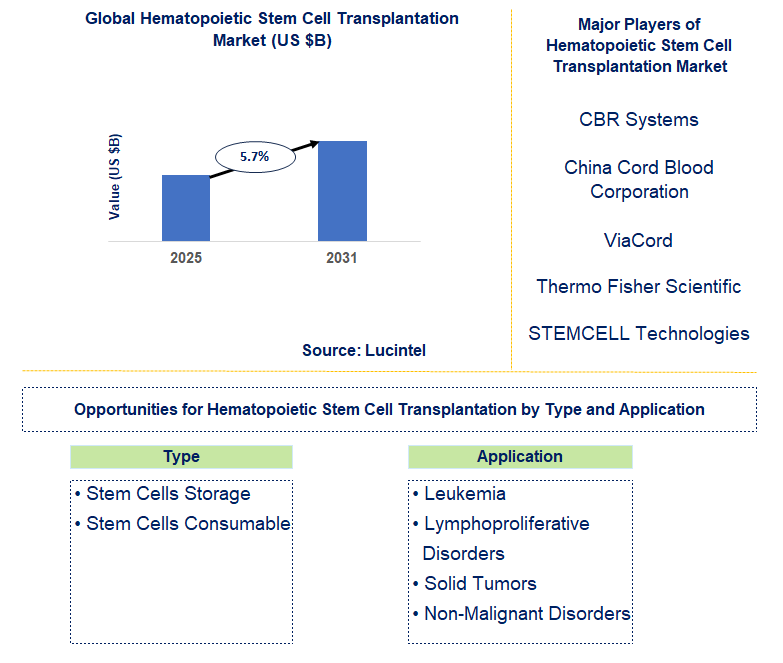 Hematopoietic Stem Cell Transplantation Market Trends and Forecast