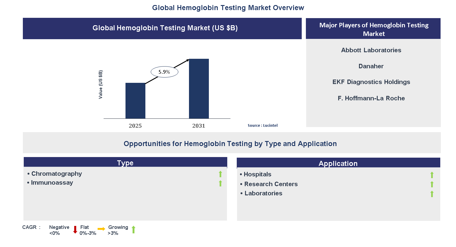 Hemoglobin Testing Market Trends and Forecast